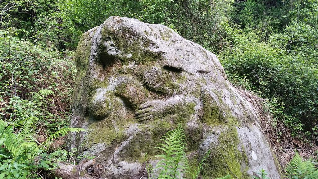 Il Debbio Villa Riccò del Golfo di Spezia Eksteriør bilde
